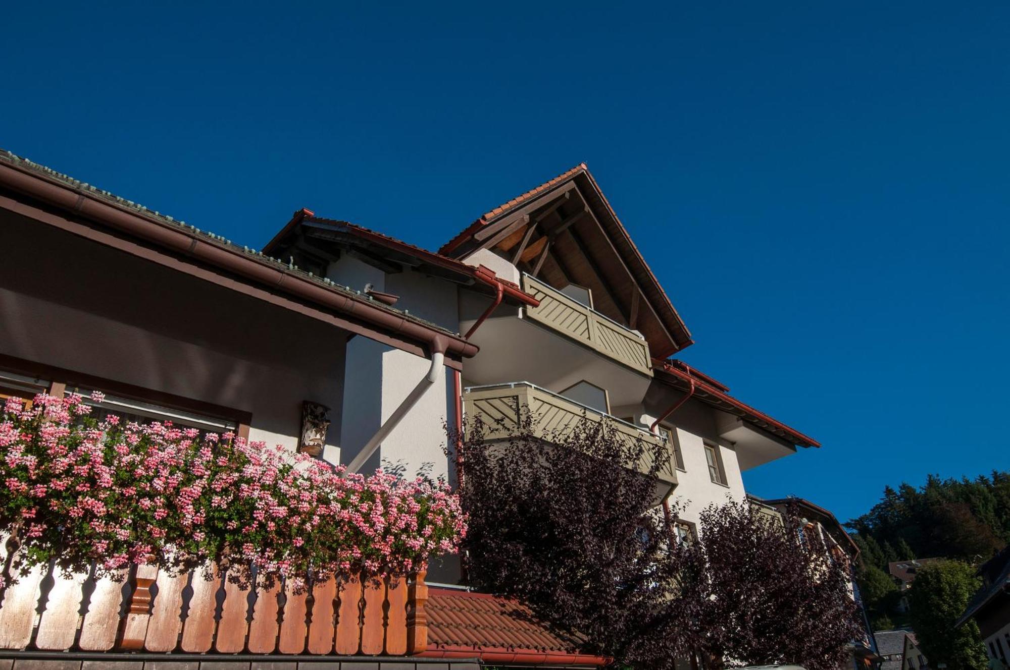 Apartment 06 - Ferienresidenz Roseneck, 2 Schlafzimmer, Mit Schwimmbad In Todtnauberg Bei Feldberg Extérieur photo