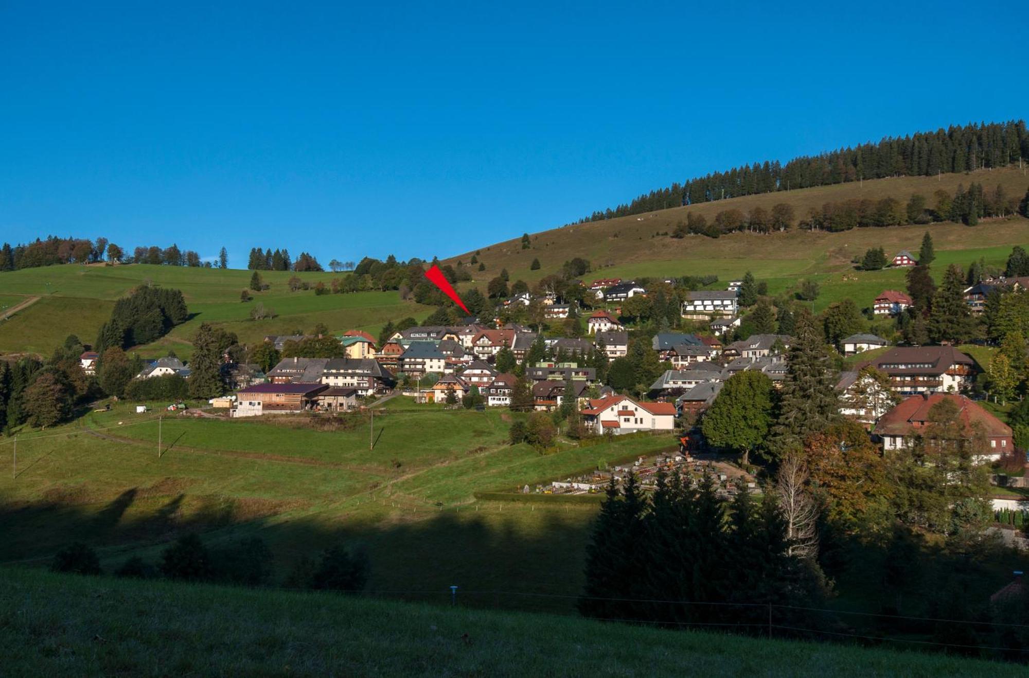 Apartment 06 - Ferienresidenz Roseneck, 2 Schlafzimmer, Mit Schwimmbad In Todtnauberg Bei Feldberg Extérieur photo